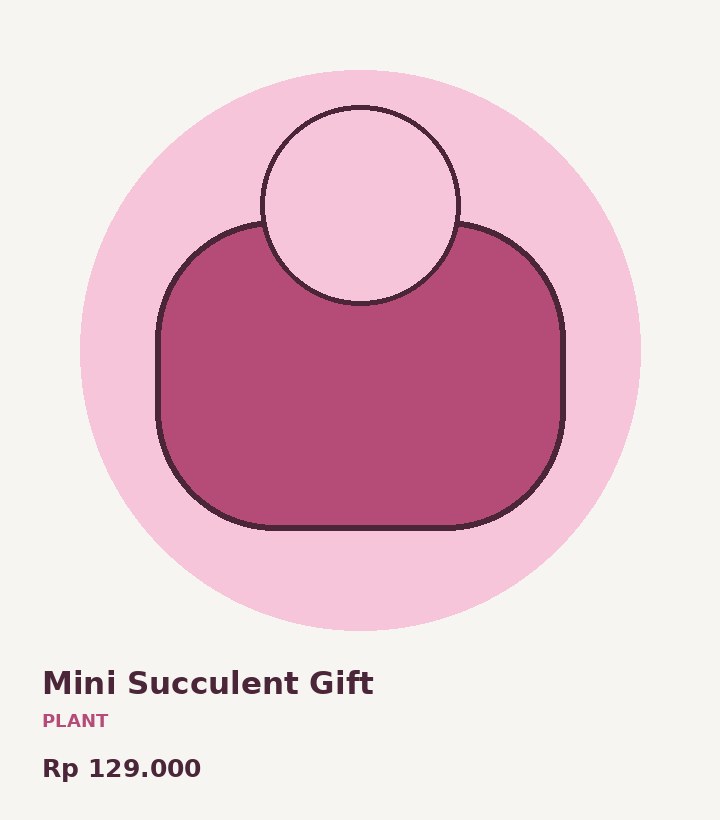 Mini Succulent Gift